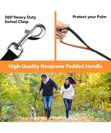Pet Prime 10m Long Dog Training Lead with Padded Handle - Heavy Duty Nylon Leash for Small, Medium & Large Dogs - 1 Inch Wide - Buy Online on SooperMarket.com