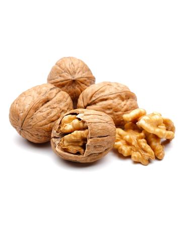 Buy Premium Walnut Kernels 1 kg from Poland | Healthy & Delicious | International Shipping - Buy Online on SooperMarket.com
