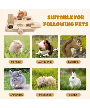Autumn 6-in-1 Guinea Pig Wooden Toy Set | Hamster & Small Animal Activity Toys for Chinchillas Mice & Dwarf Hamsters - Buy Online on SooperMarket.com