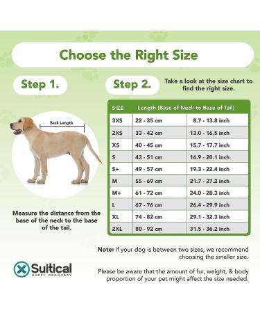 Buy Suitical Recovery Suit for Dogs - M+ Size in Black | Ideal Post-Surgery Pet Wear - International Shipping Available - Buy Online on SooperMarket.com