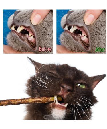 Aidiyapet Cat Catnip Sticks Cat Chew Sticks Cat Catnip toys Matatabi Silvervine Chew Sticks Cat Dental Chews for Cat Teeth Cleaning Cat Toys for Indoor Cats 30 Count (Pack of 1) - Buy Online on SooperMarket.com