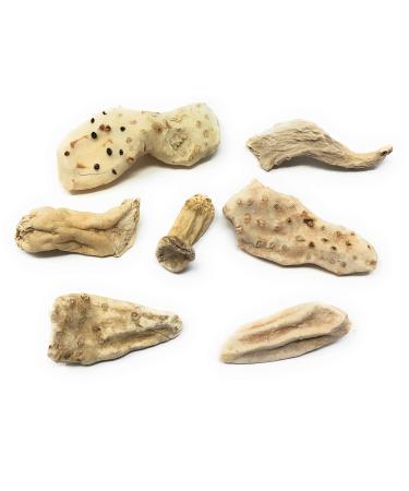 Whole Orris Root - Orris Root Contains Essential Oils Flavonoids and is Used in Perfumes - Net Weight: 1.76oz / 50g