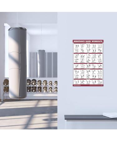 Palace Learning 3-Pack: Dumbbell Exercise Poster Resistance Bands Workouts & Stretching Tables - Laminated 18x24 - Ideal for Home Fitness & International Shipping - Buy Online on SooperMarket.com