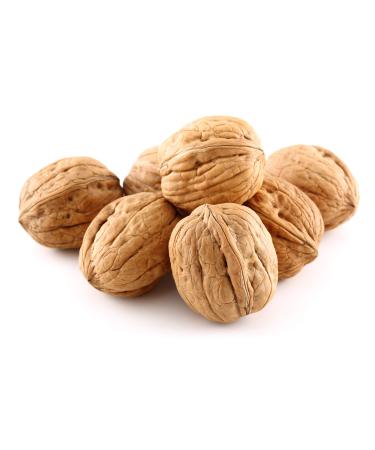 Anna and Sarah Walnuts in Shell, Jumbo, Fresh, Buttery Taste, Easy to Crack, California Chandler, Natural Shells, Not Bleached (5.5 Lbs) 5.5 Pound (Pack of 1)