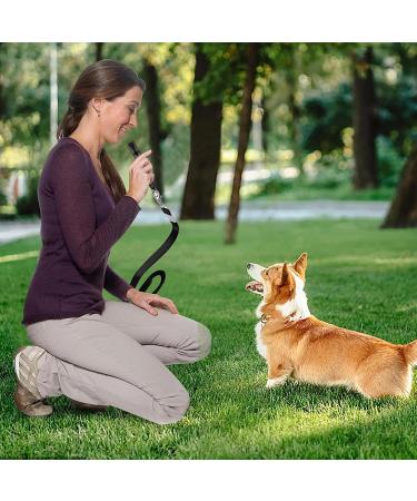 Fannas Dog Whistle - 2 Pack Adjustable High Frequency Dog Training Whistles with Free Pipe Band - Loud & Effective Recall Trainer - Black/Red - Buy Online on SooperMarket.com