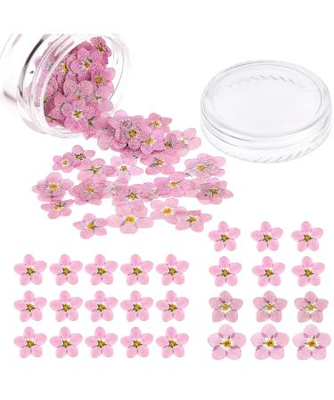 Timtin 100 Pcs Natural Forget Me Dried Flowers Don't Forget Me Dried Flower Real Dried Pressed Flowers for Jewelry Candle Card Making DIY Resin Ornaments Nail Art Flowers Decorations () Pink