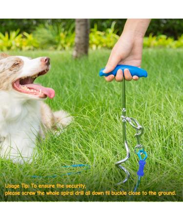 Petphabet Intestepflock Insertspirale - 3m Dog Leash with Floor & Earth Anchor | Teal Tie Out for Outdoor Use - Buy Online on SooperMarket.com