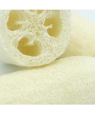 Bleu Bath 3-Pack Pure 5 Loofah Bath Body Scrubber Sponge - 100% Natural and Organic Exfoliating Luffa for Men, Women, and Sensitive Skin - Buy Online on SooperMarket.com