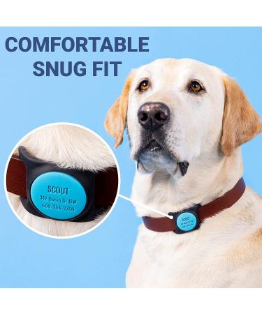 GoTags Engraved Airtag Dog Collar Holder - Personalized Slide On Tag for GPS Tracker - Customizable Pet ID Case - Track Dogs with Apple iPhone - Small Size - Buy Online on SooperMarket.com