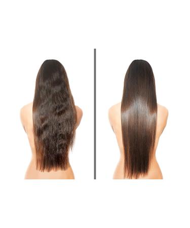 Difeel Superior Growth Jamaican Black Castor Shampoo & Conditioner Gift Set | 12 oz | 2-PC Boxed Set - Nourish & Strengthen Hair - Buy Online on SooperMarket.com
