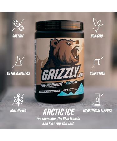 GRIZZLY PRE-WORKOUT ARCTIC ICE Strength Power Focus Caffeine Citrulline Beta-Alanine Arctic Ice 340 g (Pack of 1) - Buy Online on SooperMarket.com