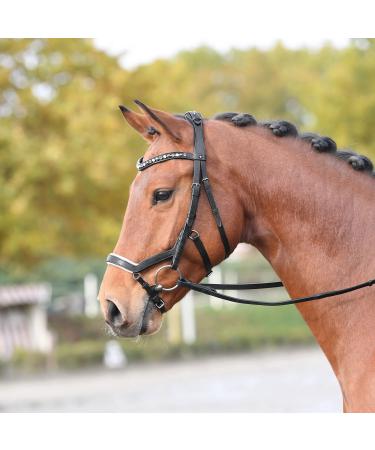 Busse bridle feeling