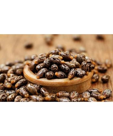 100% Pure Castor Oil - Cold Pressed Vegan Non-GMO - 128 oz Bulk for Hair Nails Eyelashes & More - Premium Grade A Organic Wholesale - Buy Online on SooperMarket.com