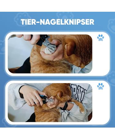 HOMJOY Professional Pet Nail Scissors & Files - Stainless Steel Nail Clippers for Dogs Cats Guinea Pigs - Safe & Durable Blue - Buy Online on SooperMarket.com