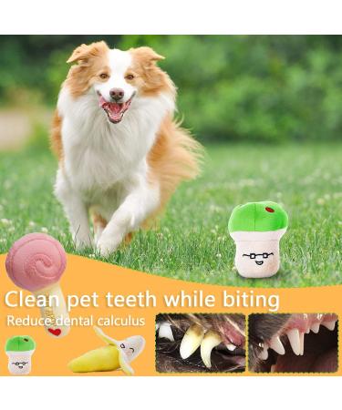 19-Piece Dog Toy Set - Durable Cornitoo Rope Balls & Chew Toys for Small Medium & Large Dogs - Interactive & Tooth Training - Buy Online on SooperMarket.com
