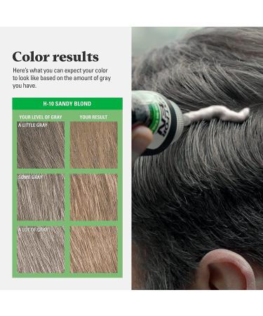 JUST FOR MEN Hair Color H-10 Sandy Blond - Premium Hair Dye for Men | Fast International Shipping - Buy Online on SooperMarket.com