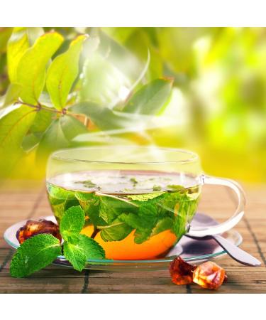 Zyanna Peppermint Tea - Premium Black Tea Infused with Peppermint Leaves - 100g/50 Cups - Natural Ingredients for Refreshing and Relaxing Flavour - Buy Online on SooperMarket.com