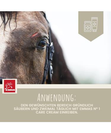First Aid Set for Horses - Silver Spray & Zinc Ointment for Wound Healing Protection & Disinfection | 250ml & 200ml Options for Pets & Livestock - Buy Online on SooperMarket.com