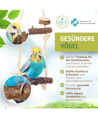 9-Piece Bird Cage Accessory Set for Budgies & Small Birds | Ideal for Species-Appropriate Care - Buy Online on SooperMarket.com