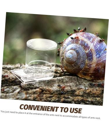 TOGEVAL Pet Water Feeder Ant Watering Station Ant Nest Water Cup Ant Feeding Cup Ant Bottle Feeder Ant Water Feeder Ants Waterer Ant Waterer for Garden Water Feeding Cup for Ant Nest - Buy Online on SooperMarket.com