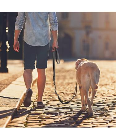 Hands Free Running Dog Lead - Retractable 7FT Long Training Leash for Medium Large Dogs - Reflective Nylon Tape - Ideal for Walking, Hiking, Jogging - Car Seat Belt Leash - Black - Buy Online on SooperMarket.com
