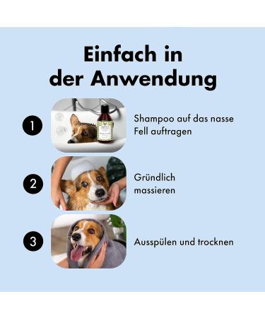 Buy Belly Nourishing Dog Shampoo - Perfect Puppy Shampoo with Keratin & Green Tea | 250ml for Long-Haired Dogs - Fresh Scent & Nourishing Care - Buy Online on SooperMarket.com