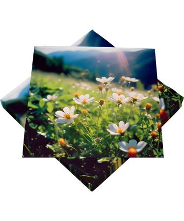 HEKU 100 napkins 3-layer 33x33cm mountain meadow I absorbent and practically packaged I wide selection I ideal for special occasions 33x33cm mountain meadow