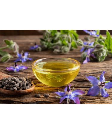 OPO Borage Seed Oil 32 oz - 100% Pure Non-GMO High GLA Moisturizer | Vegan Carrier Oil for Skin Hair Nails & DIY Soaps - Buy Online on SooperMarket.com
