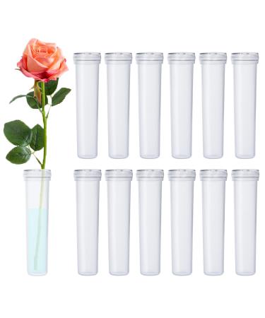 BEADNOVA Flower Water Tubes 2.8 Inch Plastic Water Tubes for Flowers Floral Vials with Caps for Decoration Flower Arrangement (Clear  60 Pcs) 60pcs