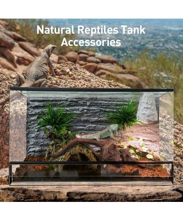 Natural Driftwood Aquarium Decor - Assorted Branches for Reptile/Fish Tank (2 Pack, 9-14 inch) - Buy Online on SooperMarket.com