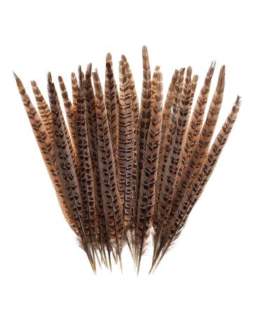 AWAYTR 20pcs Natural Pheasant Feathers - Pheasant Tail 8-11inch(21-28cm) for DIY Decoration (Female Pheasant Tail) Female Pheasant Tail 8-11inch(21-28cm)