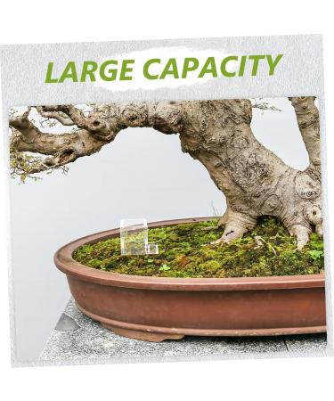 HAPINARY 3pcs Mini Liquid Feeder Ants Water Feeding Clear Ants Feeder Plastic Insect Feeder - Buy Online on SooperMarket.com