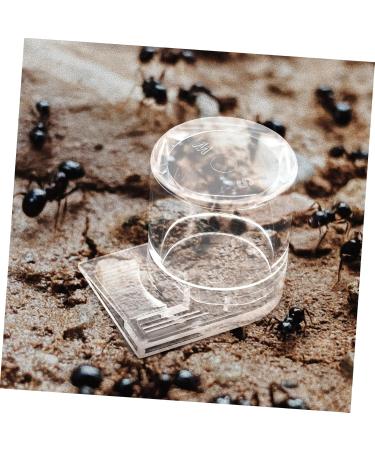 HANABASS Pet Water Feeder Ant Nest Entrance Feeder Ant Waterer for Garden Ant Watering Cup Ant Water Drinking Cup Ant Water Feeder Ant Feeder Station Ants Feeding Device Ant Bowl - Buy Online on SooperMarket.com