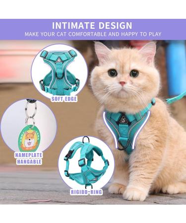 Buy Tikxlafe Cat Dishes with 150 cm Leash Adjustable Polyester Cat Linen Set for Kittens (Blauer See Size S) | International Shipping - Buy Online on SooperMarket.com