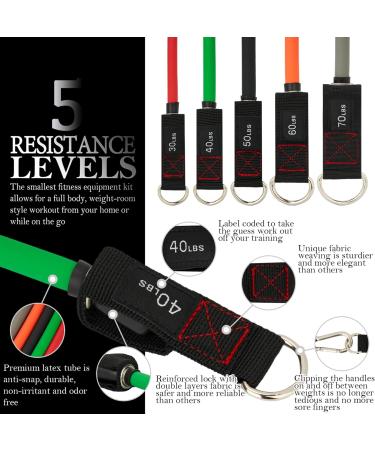 TheFitLife Exercise Resistance Bands with Handles - 5 Stackable Fitness Bands up to 300 lbs - Includes Handles, Ankle Straps, Door Anchor & Carry Bag - Buy Online on SooperMarket.com