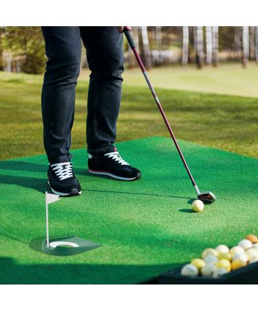 WSERE 2 Pack Golf Putting Cup - Indoor & Outdoor Training Aids for Putting Practice - Regulation Size Putter Hole - Buy Online on SooperMarket.com