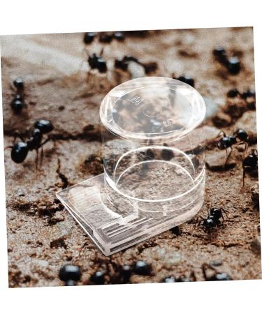 HAPINARY Pet Water Feeder Ant Waterer for Garden Ant Watering Station Ant Nest Supplies Transparent Plastic - Buy Online on SooperMarket.com