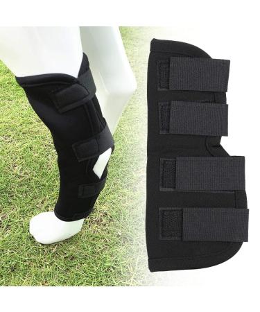 Stability Support Dog Leg Support Neoprene Pet Knee Guard Stabilize Arthritis for Dog Leg Guard(Black S) - Buy Online on SooperMarket.com