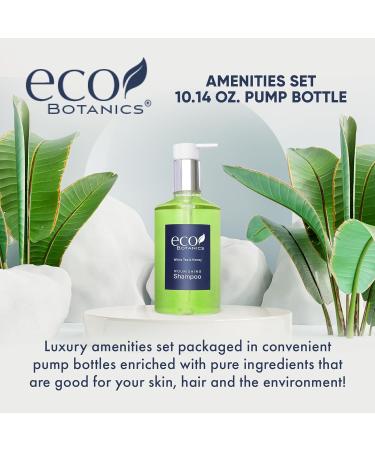 Terra Pure Eco Botanics Shampoo - White Tea & Honey | 10.14 oz | Premium Hotel Amenities - Buy Online - Buy Online on SooperMarket.com