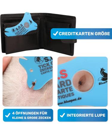 Bluepet 2x Tick Card with Magnifying Glass - Effective Tick Remover for Humans & Pets - First Aid Solution for Dogs & Cats - Buy Online on SooperMarket.com