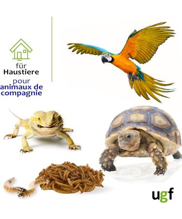 UGF Premium Dried Mealworms 250g | Insect Snacks for Birds Hamsters Hedgehogs Rodents Lizards & Turtles - No Preservatives or Dyes - Buy Online on SooperMarket.com