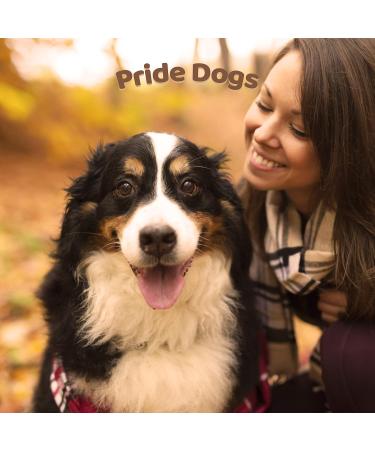 Buy Beef Tripe 1000g - Premium Chew Snack for Dogs | 100% Beef Made in Germany Odorless Bag - PrideDogs - Buy Online on SooperMarket.com