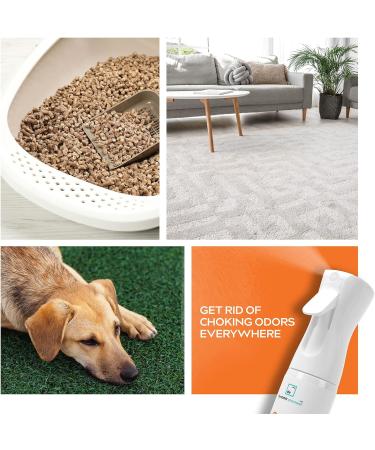 Dynamic Element Pet Odour Eliminator Spray - 9 Fl Oz - Mineral Formula for Strong Odours - Carpet Smell Freshener - Unscented Remover for Dog & Cat Urine on Carpet - Buy Online on SooperMarket.com