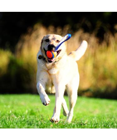Chuckit! Ultra Tug Dog Toy | Large Rubber Ball Interactive Fetch & Tug Toy - Buy Online on SooperMarket.com