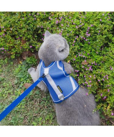 Cat Leash with Dishes - Reflective Patrols & Breakout Safety for Cats | International Shipping - Buy Online on SooperMarket.com