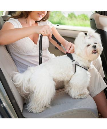 Adjustable Black Dog Seat Belt with Elastic Bungee Buffer - Car Travel Accessories - Buy Online on SooperMarket.com