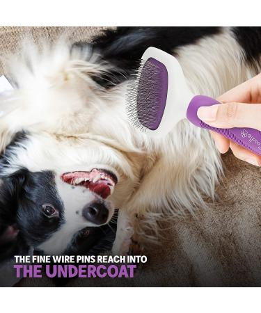 Poodle Pet Slicker Brush for Small and Large Dogs | Effective Hair Remover for Tangles, Mats, and Loose Hair | Suitable for Short or Long Hair - Grooming Brush - Buy Online on SooperMarket.com