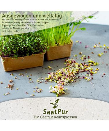 SaatPur ORGANIC Sprouts Assortment | 4 Varieties: Red Energy Mix Radish Red Cabbage Basil Beetroot - International Shipping Available - Buy Online on SooperMarket.com