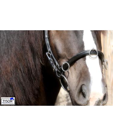 Buy Tysons Breeches Cavesson Leather - Extra Large Coldblood X-Full XX Full with Bit Attachment | Premium Quality Horse Tack - Buy Online on SooperMarket.com