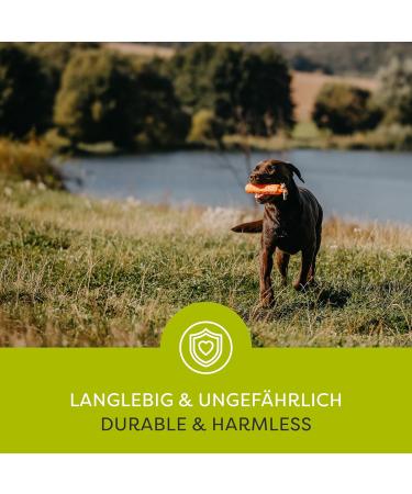 HP & G Home Orange Apportier Dummy for Dog Training - 24 cm Durable & Robust Ideal for Pets & Garden - Buy Online on SooperMarket.com